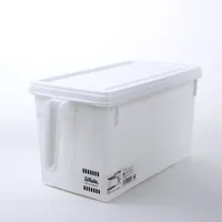 Storage Box with Lid and Side Handle