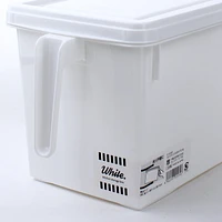 Storage Box with Lid and Side Handle