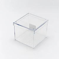 Clear Box Storage Box with Lid