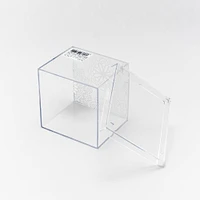 Clear Box Storage Box with Lid