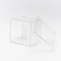Clear Box Storage Box with Lid