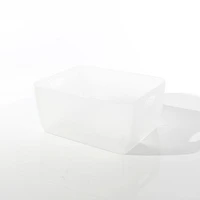 Clear Container (20x16x9cm)