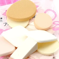 Makeup Sponges (Foundation/Asst/40g)