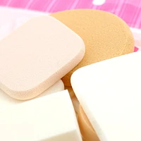 Makeup Sponges (Foundation/Asst/40g)