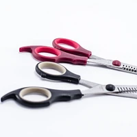 Hair Scissors