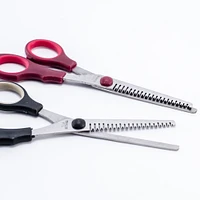 Hair Scissors