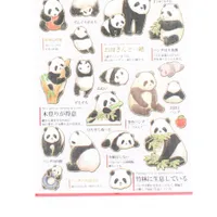 Kamio Picture Dictionary Stickers (Ecology Panda)