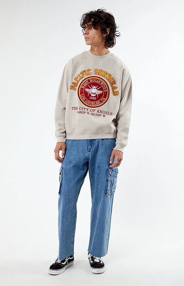 PacSun Pacific Sunwear Chenille Crew Neck Sweatshirt