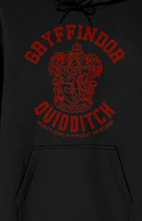 Harry Potter Gryffindor Hoodie