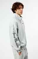 Playboy By PacSun Speed Division Quarter Zip Sweatshirt