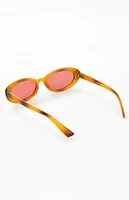 Brown Plastic Round Sunglasses