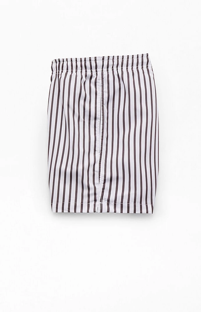 PacSun Vertical Stripe 4" Swim Trunks