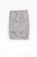 PacSun Vertical Stripe 4" Swim Trunks