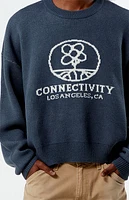 Pacsun Connectivity Cropped Sweater