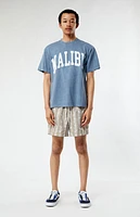 Pacsun Flower Stripe 4.5" Swim Trunks