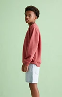 Pacsun Kids Light Indigo Denim Shorts