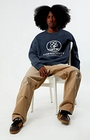 Pacsun Connectivity Cropped Sweater