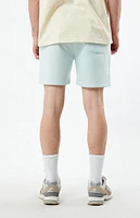 PacSun Light Fleece Volley Shorts