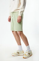 PacSun Sage Volley Shorts