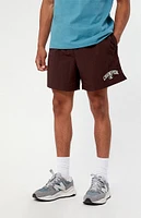 Champion Collegiate Ripstop Shorts