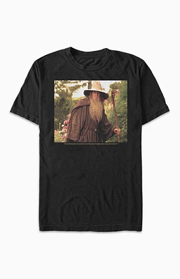 Lord Of The Rings Gandalf T-Shirt