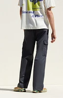 PacSun Asphalt Baggy Cargo Pants