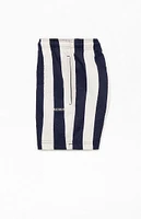 PacSun Times Striped Seersucker 4.5'' Swim Trunks