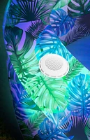 Pool Candy Tropical Palms Illuminated LED Pool with Bluetooth Speaker