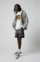 Pacsun Potassium Fleece Volley Sweat Shorts