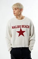 PacSun Malibu Beach Sweater