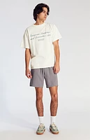 Pacsun Gray Striped Volley Shorts