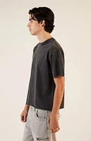 PacSun Washed Black Premium Cropped T-Shirt