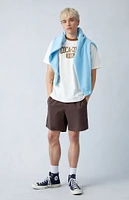 PacSun Brown Reed Twill Volley Shorts