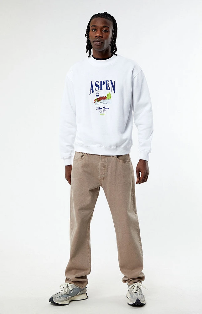 PacSun Aspen Embroidered Crew Neck Sweatshirt