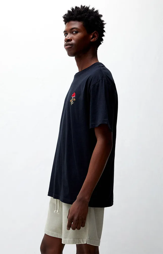 PacSun Embroidery T-Shirt
