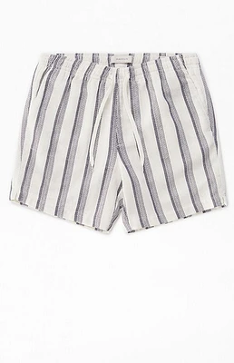 Pacsun Navy Striped Textured Volley Shorts