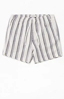 Pacsun Navy Striped Textured Volley Shorts