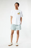 PacSun Stripe 4.5" Swim Trunks