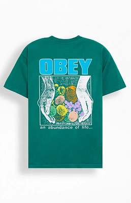 Obey An Abundance Of Life Heavyweight T-Shirt