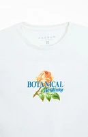 PacSun Botanical Awakening T-Shirt