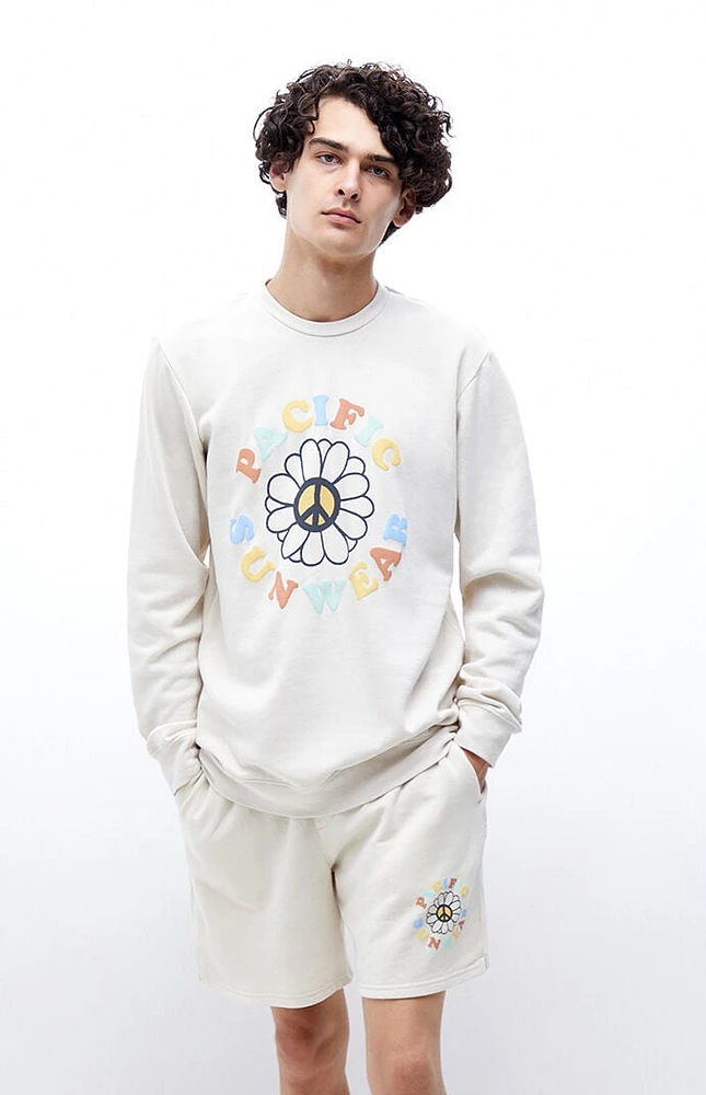 PacSun Pacific Sunwear Crew Neck Sweatshirt