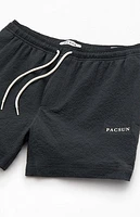 Pacsun Sail Seersucker 4.5" Swim Trunks