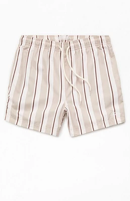 PacSun Basket Striped 5" Swim Trunks