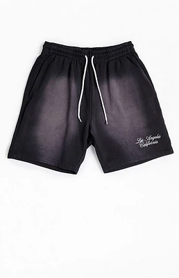 Pacsun Potassium Fleece Volley Sweat Shorts