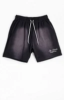Pacsun Potassium Fleece Volley Sweat Shorts