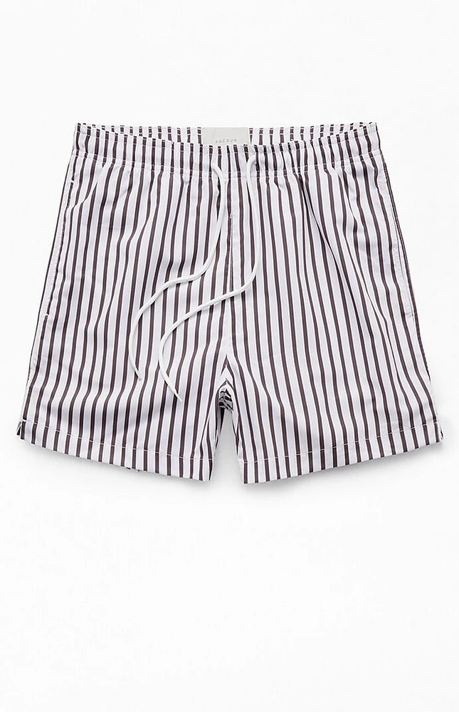 PacSun Vertical Stripe 4" Swim Trunks