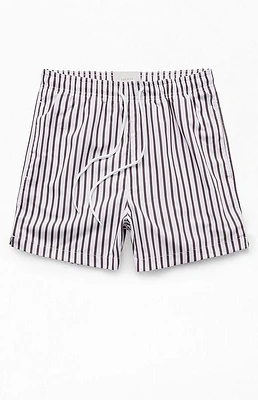 PacSun Vertical Stripe 4" Swim Trunks