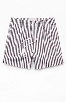 PacSun Vertical Stripe 4" Swim Trunks