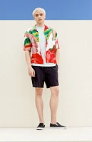 PacSun Cole Volley Shorts