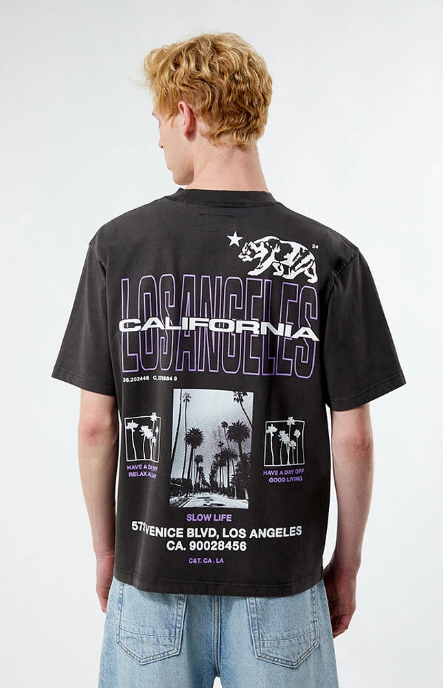 Pacsun LA Coordinates Oversized T-Shirt